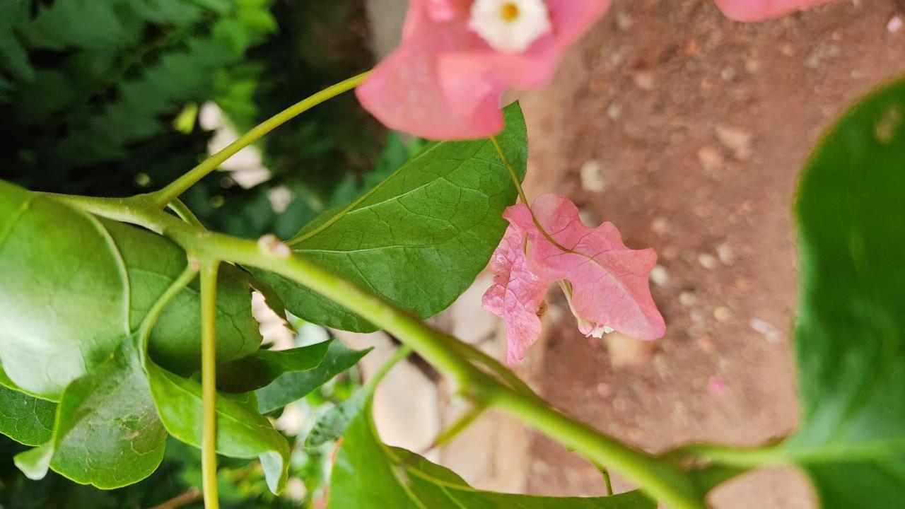 Kanthi Resorts Badami Bagalkot Екстер'єр фото