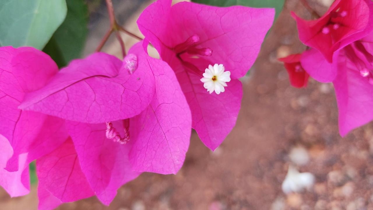Kanthi Resorts Badami Bagalkot Екстер'єр фото