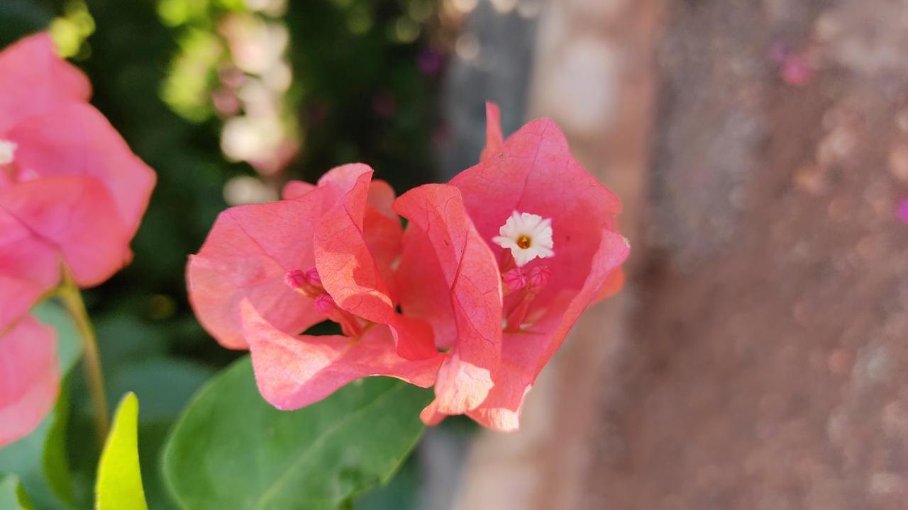 Kanthi Resorts Badami Bagalkot Екстер'єр фото